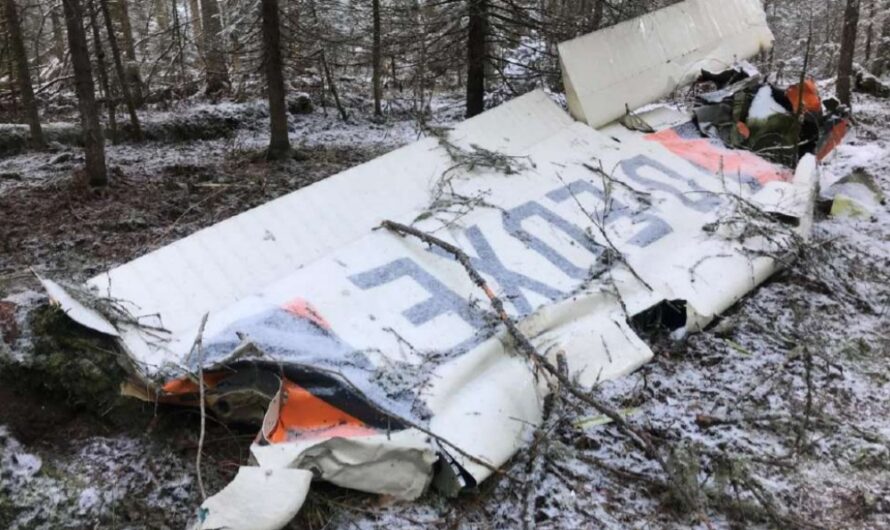Опубликован отчет о причинах падения самолета «Сессна» в Пермском крае